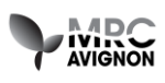 logo-mrc-avignon