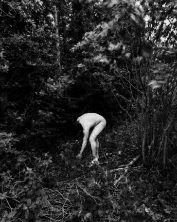 « Autoportrait dans le sentier pas débroussaillé », 2021, Alexandre Cotton.
