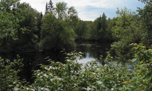 7 paysages de Robert Morin